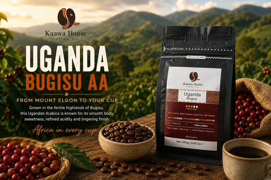 Uganda Coffee: The Complete Guide to Ugandan Coffee Beans